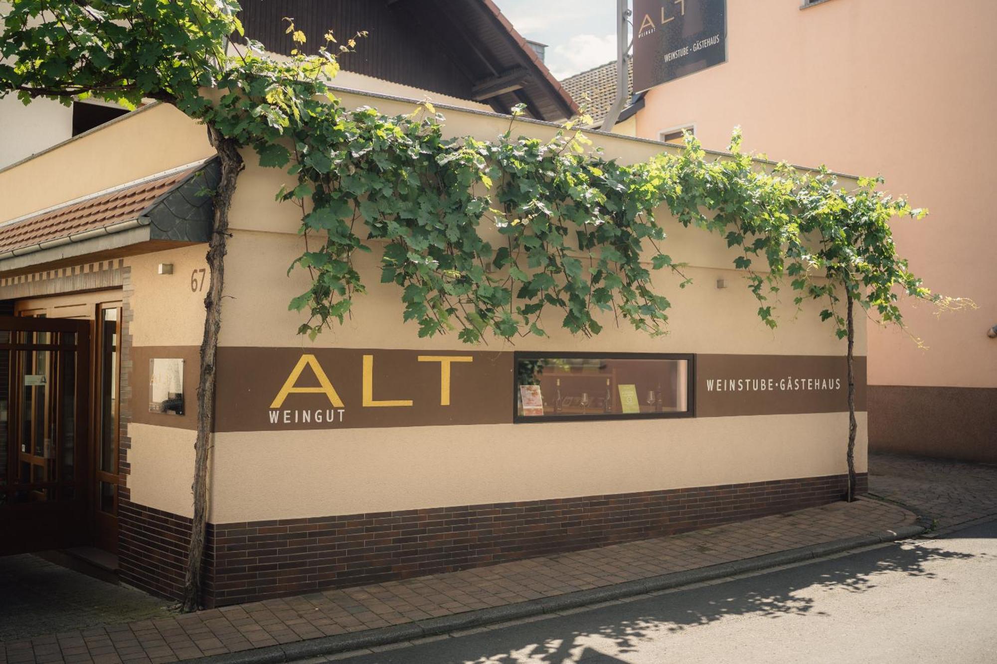 Weingut Und Gaestehaus Holger Alt Monzingen Esterno foto