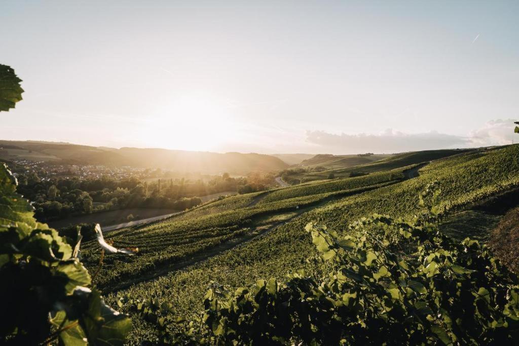 Weingut Und Gaestehaus Holger Alt Monzingen Esterno foto