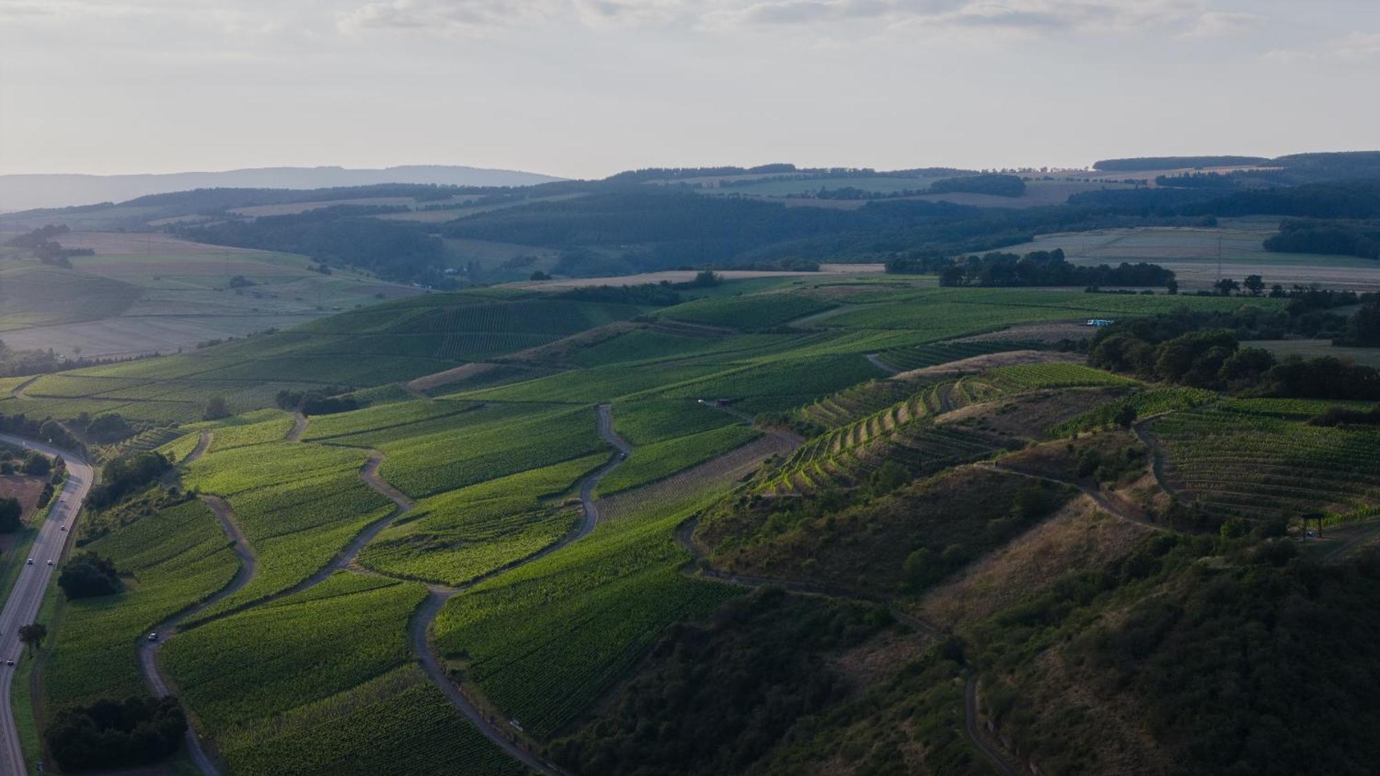 Weingut Und Gaestehaus Holger Alt Monzingen Esterno foto