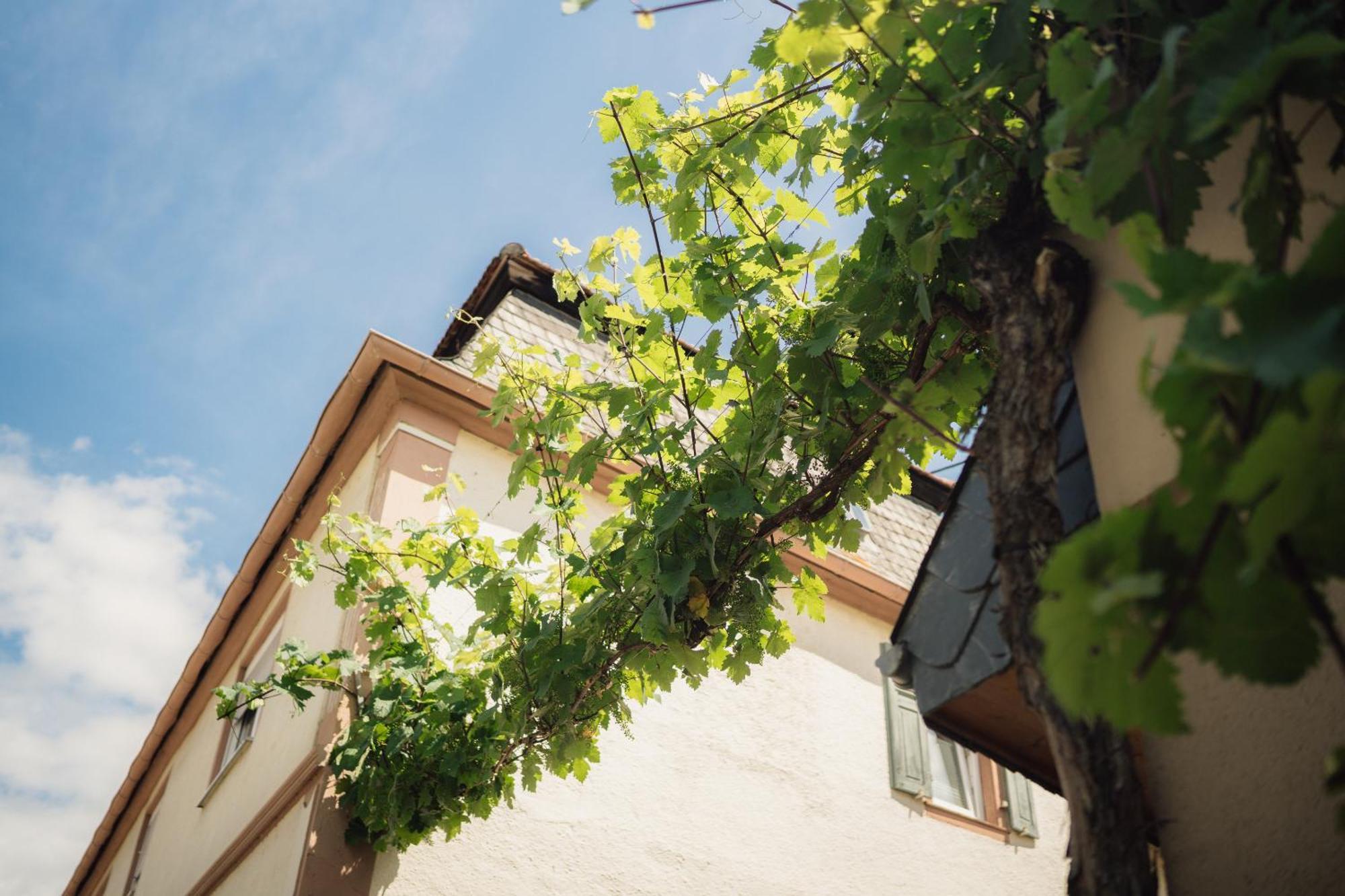 Weingut Und Gaestehaus Holger Alt Monzingen Esterno foto